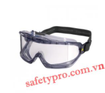 Safety goggles