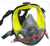 Gas mask