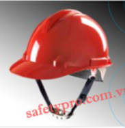 NTD safety helmet