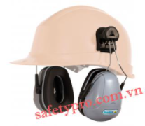 Magny Helmet ear protection