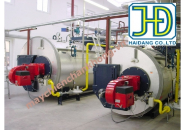 Gas fired boiler