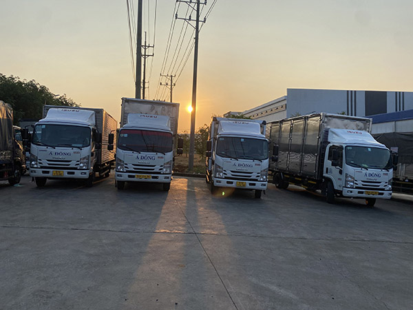 Road freight transport