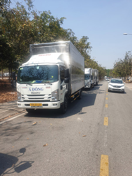 Road freight transport