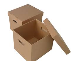 Die-cut carton