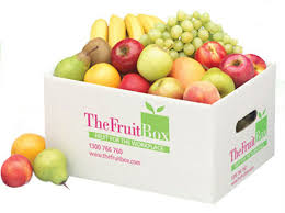 Fruit Carton