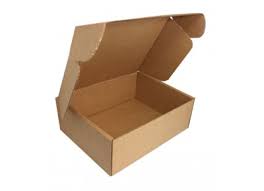 Carton with latch lid