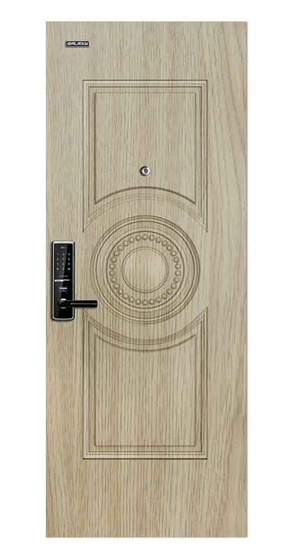 Apartment entrance steel door
