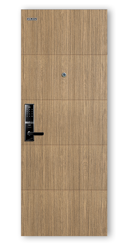 Apartment entrance steel door