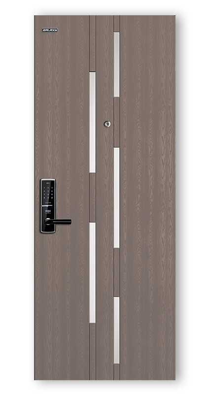 Apartment entrance steel door