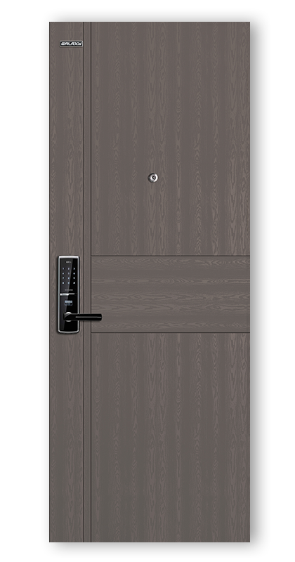 Apartment entrance steel door