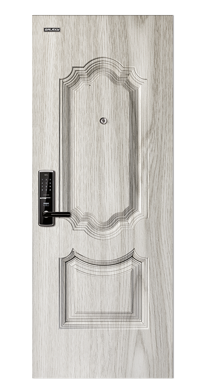 Apartment entrance steel door