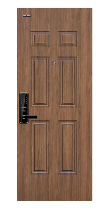 Apartment entrance steel door