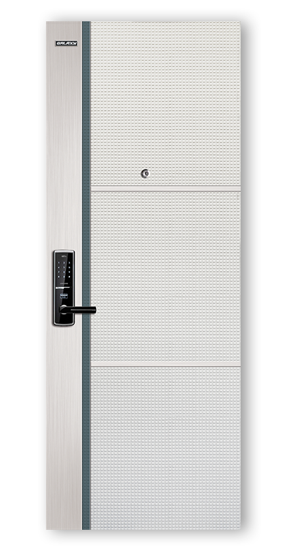 Apartment entrance steel door