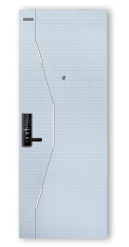 Apartment entrance steel door