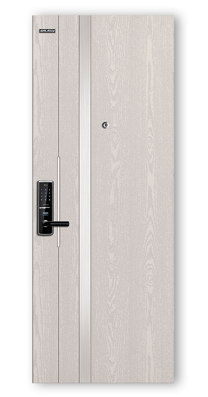Apartment entrance steel door
