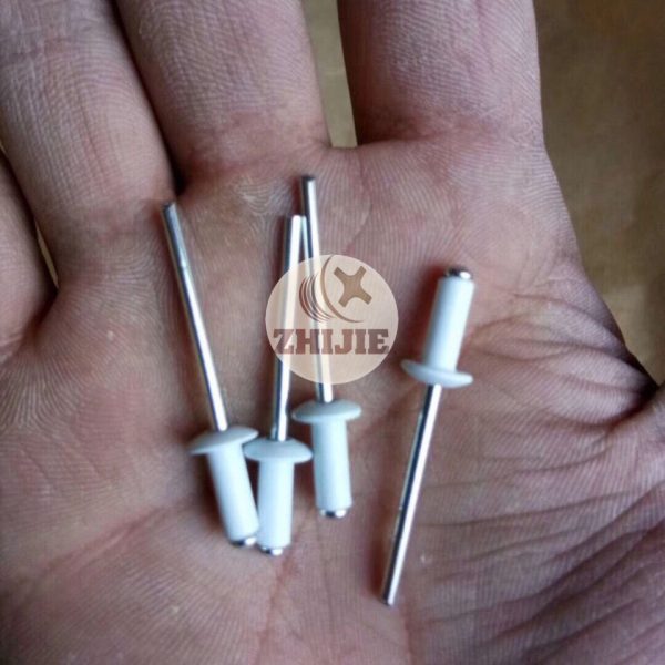 Blind Rivets