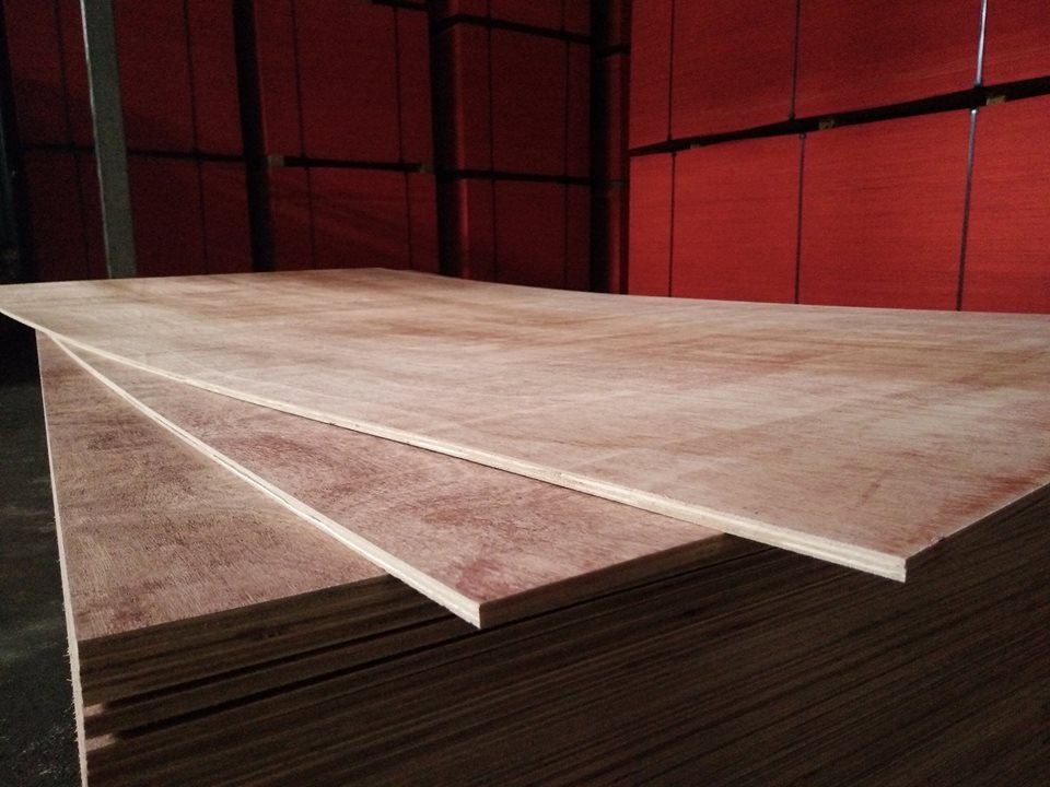 8mm Plywood