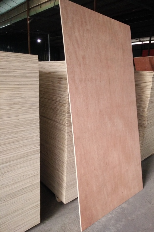 Bintangor Plywood