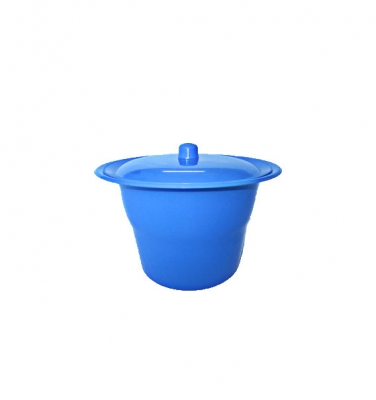 Plastic Potty