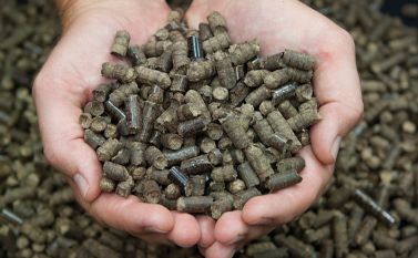 Wood scraps as fuel