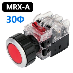 Push button switch with light
