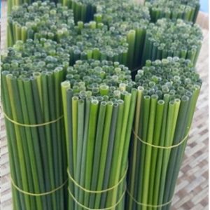 Lawn straws