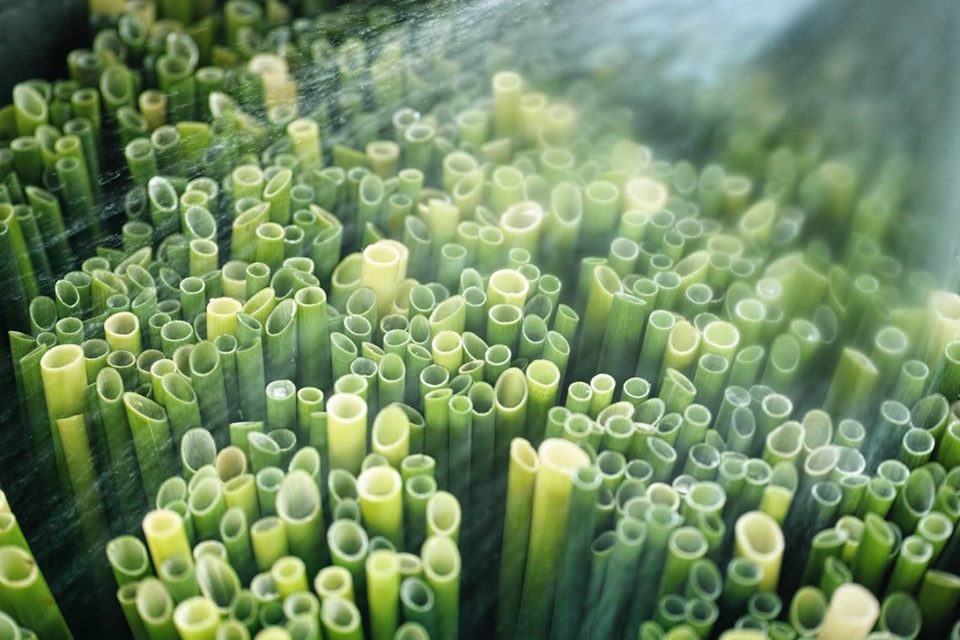 Lawn straws