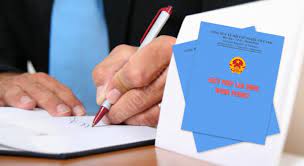 Work permit application services