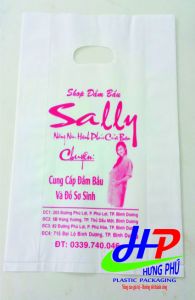 Túi HD sữa Sally