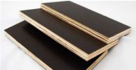 Film coated plywood
