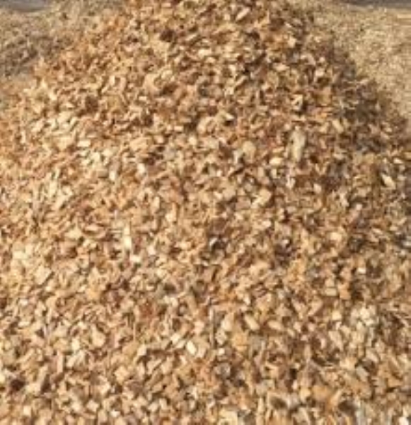 Wood shavings