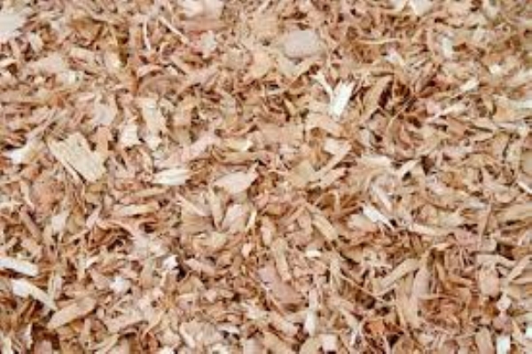 Wood shavings
