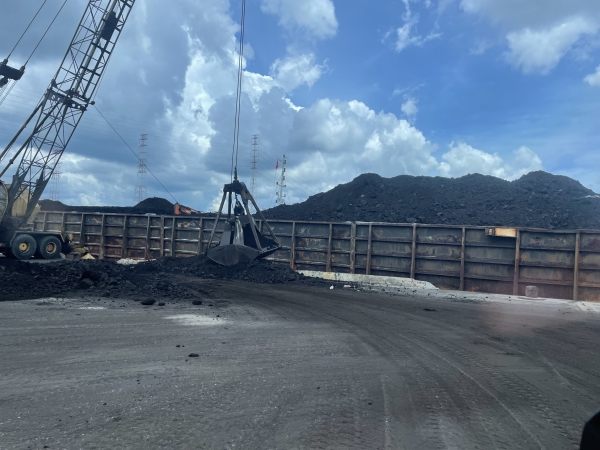 Coal