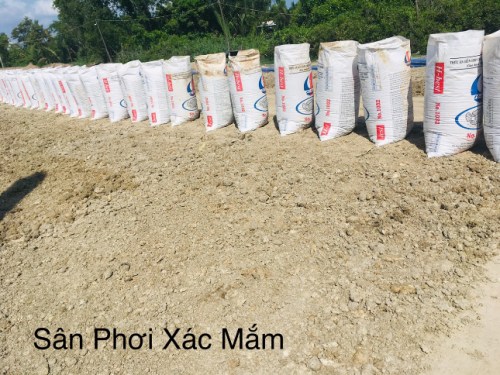 Fermented fish residue drying yard