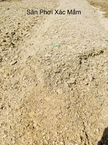 Fermented fish residue drying yard