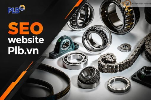B2B Website SEO Optimization for PLB.vn