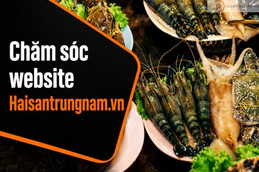 Website SEO for Trung Nam Seafood