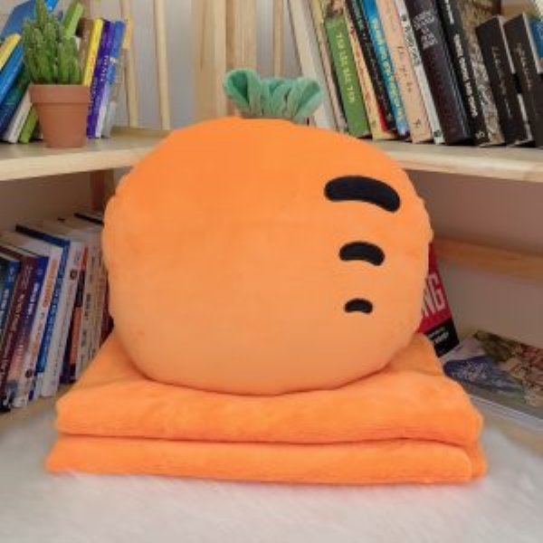 Minty carrot blanket and pillow set