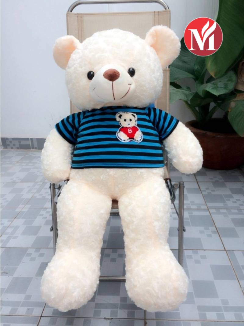Teddy bear