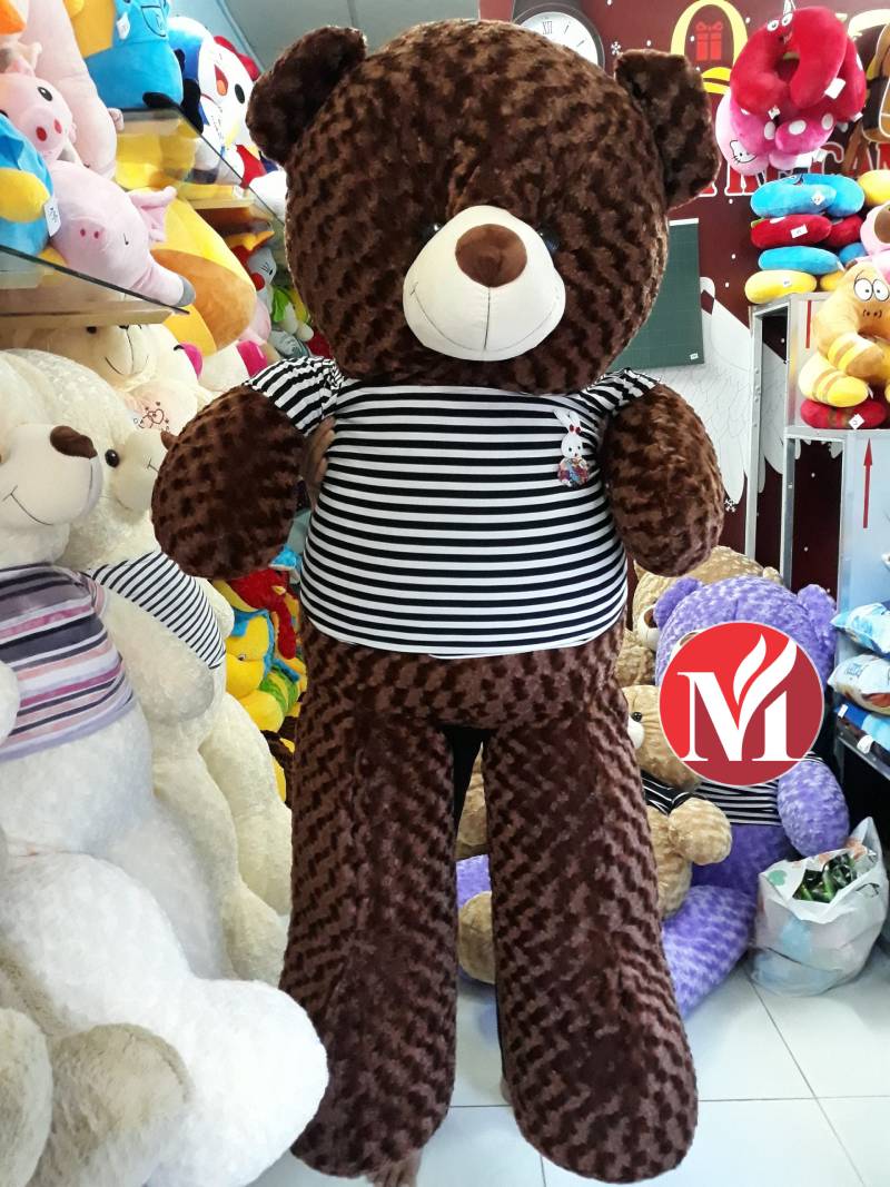 Teddy bear