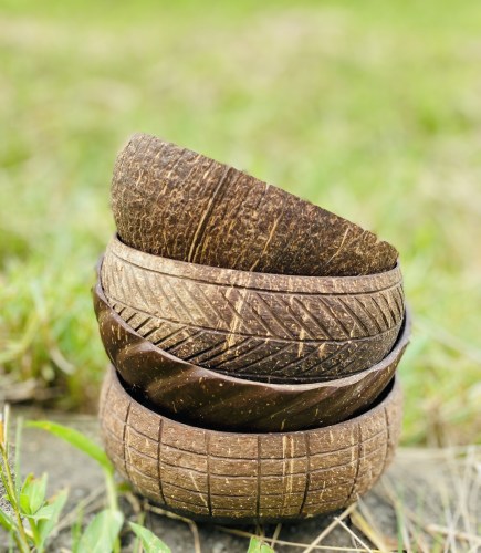 Coconut bowl