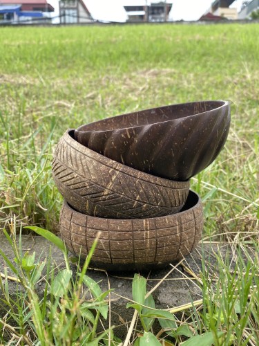 Coconut bowl