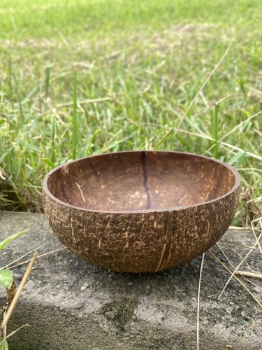 Coconut bowl