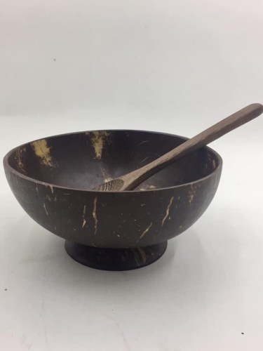 Coconut bowl