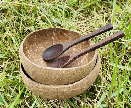 Coconut bowl