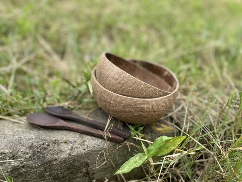 Coconut bowl