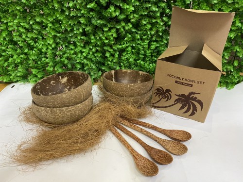 Coconut bowl