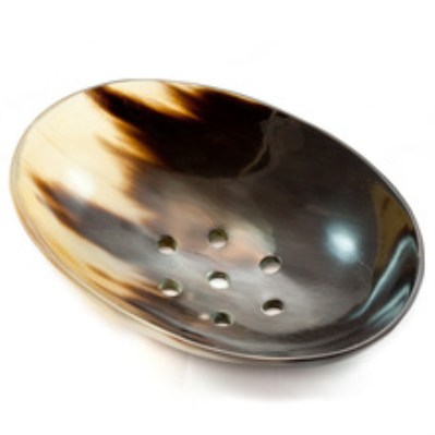 Horn Plate