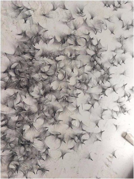 6D fan eyelashes