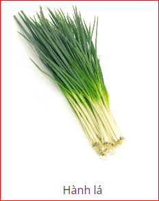 Green onion